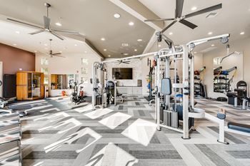24-Hour multi-level cardio and weightlifting center